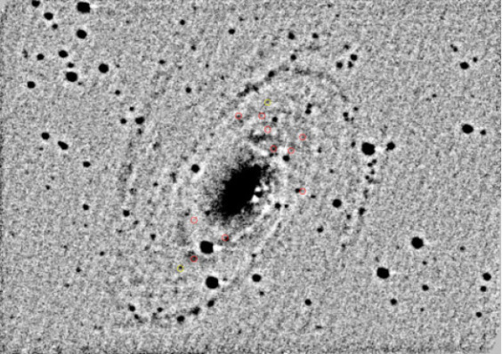 Innermost globular clusters of M81